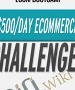 0 To $500/Day Shopify eCom Bootcamp – Travis Stephenson