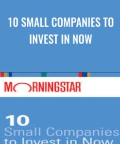 10 Small Companies to Invest in Now - Paul Larson