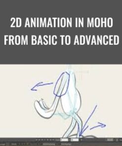2D Animation in Moho from Basic to Advanced - Mark