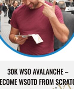 30K WSO Avalanche – Become WSOTD from Scratch