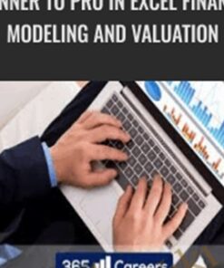 Beginner to Pro in Excel Financial Modeling and Valuation - 365 Careers