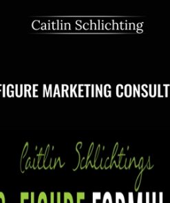 6 Figure Marketing Consultant - Caitlin Schlichting