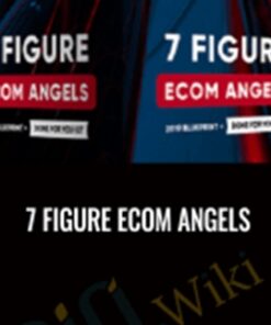 7 Figure Ecom Angels