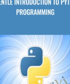 A Gentle Introduction to Python Programming