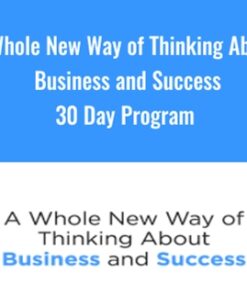 A Whole New Way of Thinking About Business and Success 30 Day Program - Michael Neill