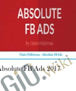 Absolute FB Ads 2017 - Claire Pelletreau