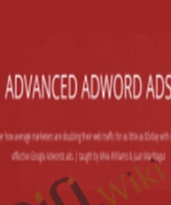 Advanced Adword Ads – Mike Williams & Juan Martitegui