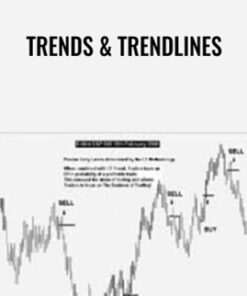 Trends & Trendlines - Albert Yang