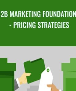 B2B Marketing Foundations - Pricing Strategies
