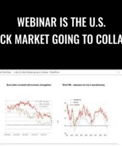 WEBINAR Is the U.S. Stock Market Going to Collapse – Anton Kreil & Ross Williams