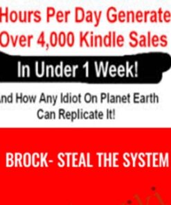 Brock- STEAL The System