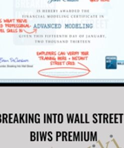Breaking into Wall Street – BIWS Premium