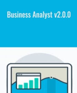Business Analyst v2.0.0