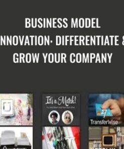 Business Model Innovation: Differentiate & Grow Your Company - Pavel N & Olena T