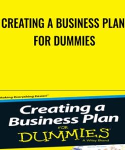 Creating a Business Plan for Dummies - Veechi Curtis