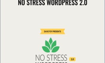 No Stress WordPress 2.0 – Dave Foy