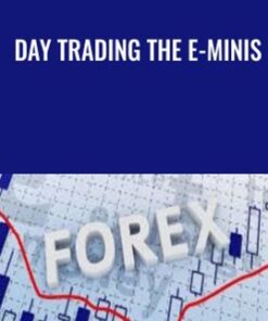 Day Trading The E-Minis - Zap Seminar & David Stendahl