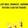 Elliot wave, Fibonacci , Harmonic pattern & GAN FAN trading - Satyendra Singh