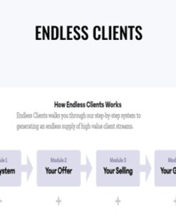 Endless Clients - Robert Williams