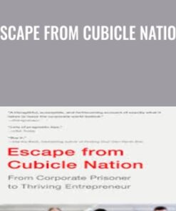 Escape from Cubicle Nation - Pamela Slim