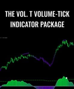 The Vol. T Volume-Tick Indicator Package – Fibozachi