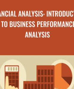 Financial Analysis: Introduction to Business Performance Analysis - Rudolph Rosenberg