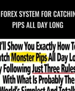 A Forex System For Catching Pips All Day Long – Forex Pip Fishing