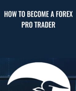 How To Become A Forex Pro Trader