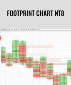 Footprint Chart NT8 – Indicatormall