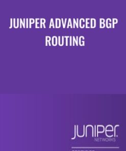 Juniper Advanced BGP Routing - Christopher Frisch