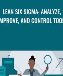 Lean Six Sigma: Analyze, Improve, and Control Tools - Richard Chua