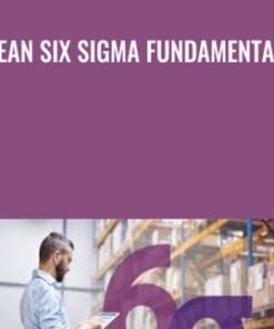 Lean Six Sigma Fundamentals - Steven Brown