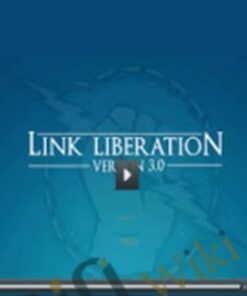 Link Liberation 3 - Dan Thies and Leslie Rohde