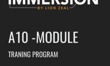 Agency Immersion - Lion Zeal