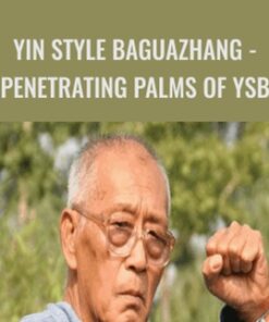 Yin style Baguazhang - Penetrating Palms of YSB - Liu Shichang