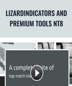 LizardIndicators and Premium Tools NT8 – LizardIndicators