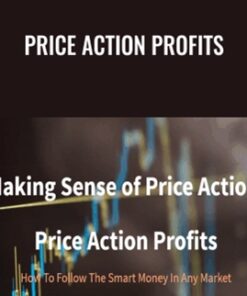 Making Sense of Price Action: Price Action Profits - Scott Foster
