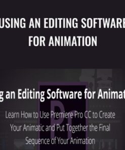 Using an Editing Software for Animation - Mark