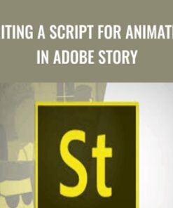 Writing a Script for Animation in Adobe Story - Mark