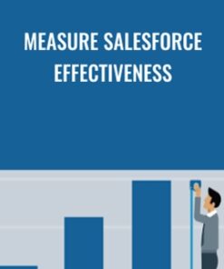 Measure Salesforce Effectiveness - Drew Boyd