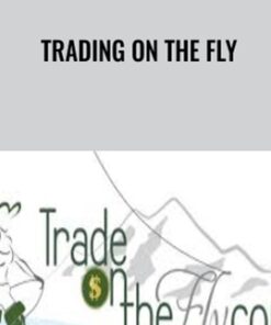 Trading on the Fly – Michele