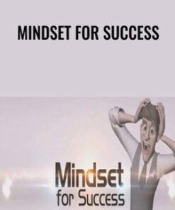 Mindset for Success - Allen Maxwell & Scott Paton