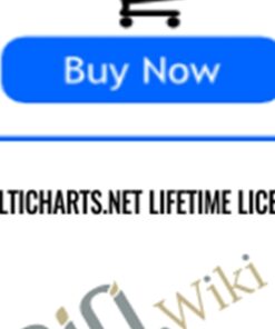 MultiCharts.NET Lifetime License