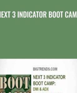 Next 3 Indicator Boot Camp - Bigtrends