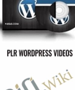 PLR WordPress Videos