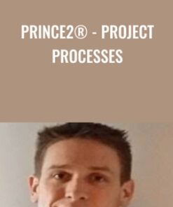 PRINCE2® - Project Processes - Tommy van Schaik