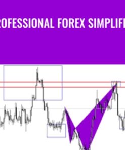 Professional Forex Simplified - Abdulrazaq Akeem Tayo
