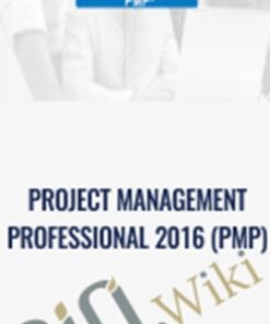 Project Management Professional 2016 (PMP)