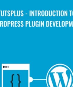 TutsPlus - Introduction to WordPress Plugin Development - Rachel McCollin