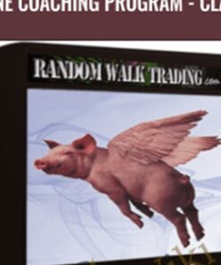 Online Coaching Program - Class 4 - Random Walk Trading